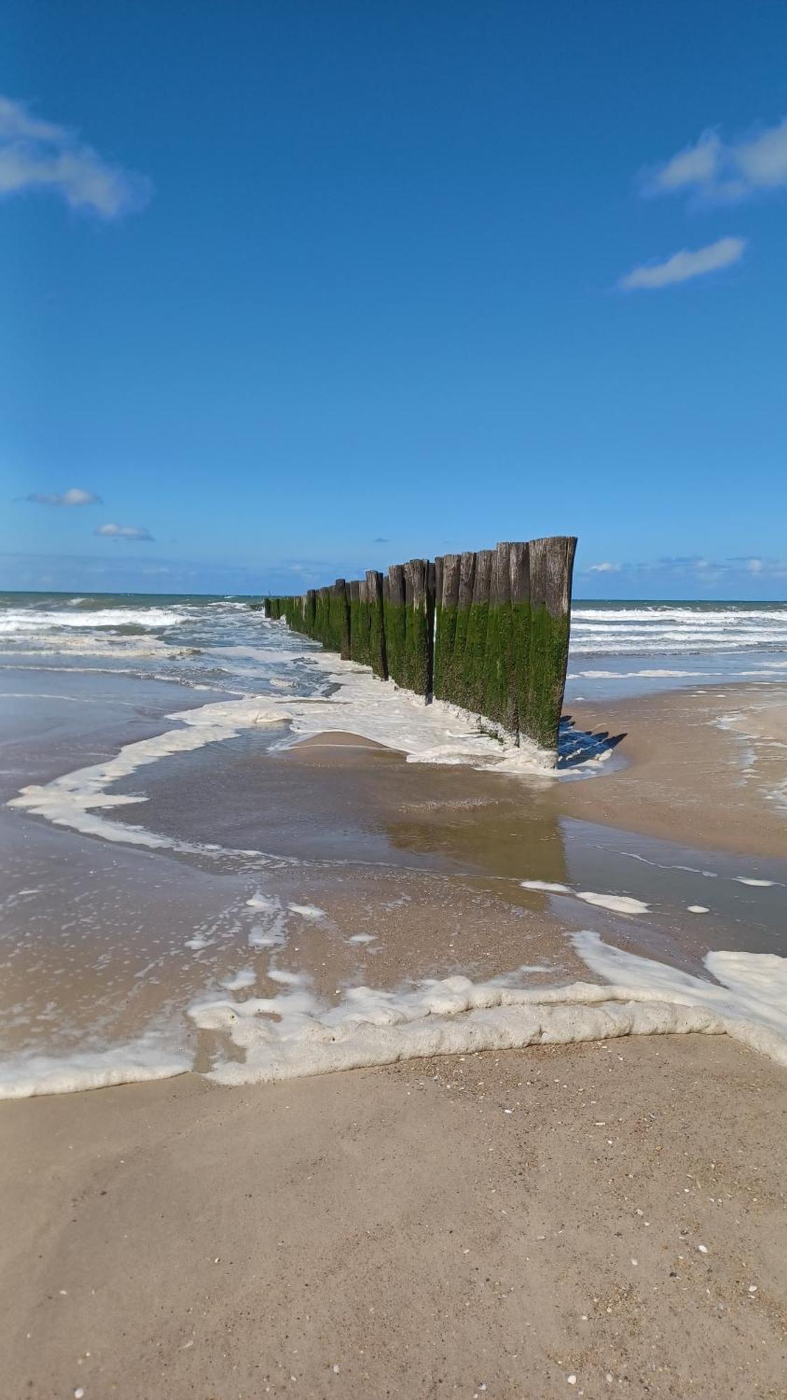 לינה וארוחת בוקר Oye-Plage La Carte Postale מראה חיצוני תמונה